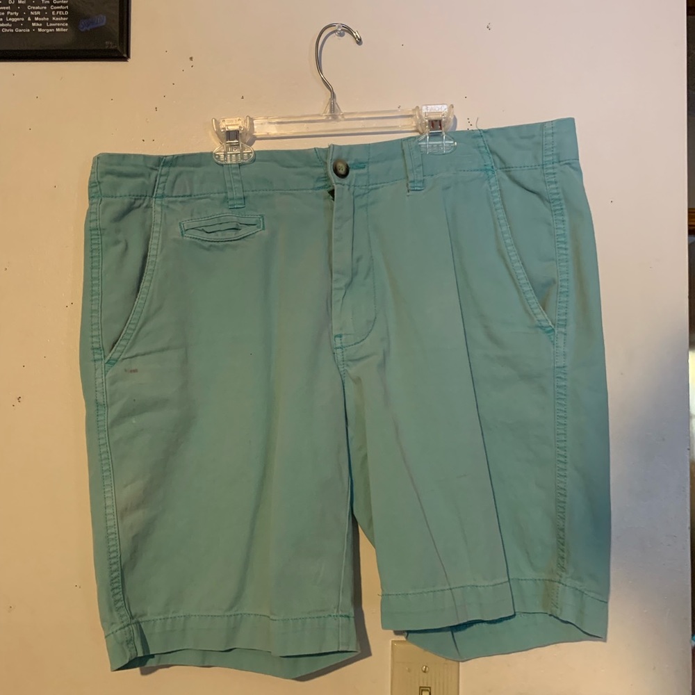 Tortoise Arizona Shorts
